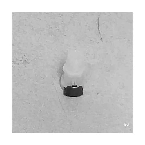 �J�b�v�����O�@�{�f�B