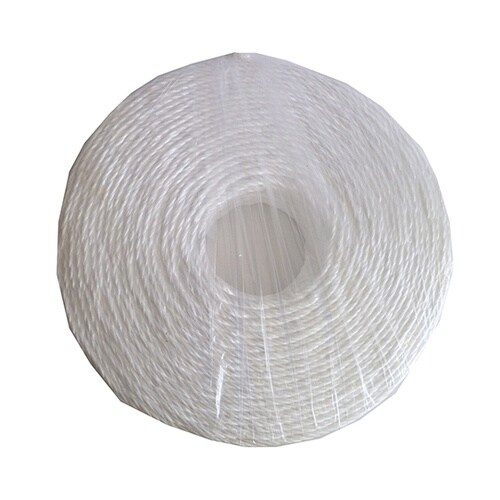 �r���������o�o���[�v�i�n���j