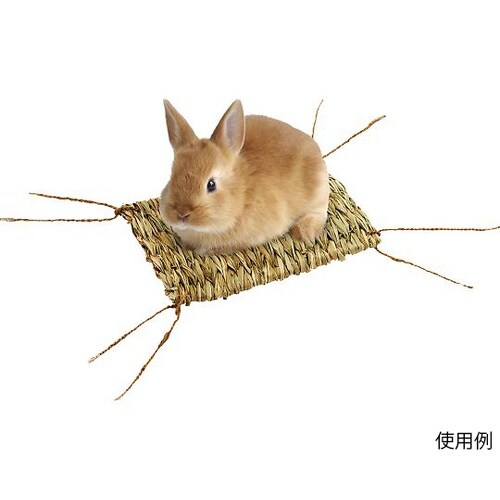 うさちゃんの自然派マット
