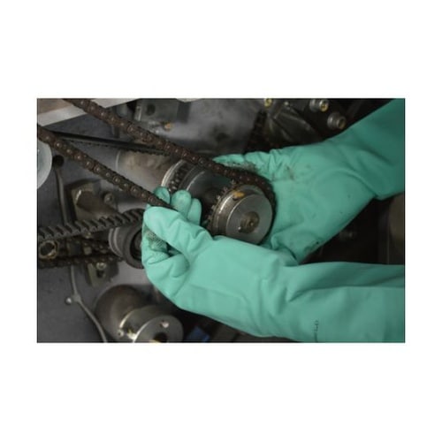 �P�~�V�[���h������