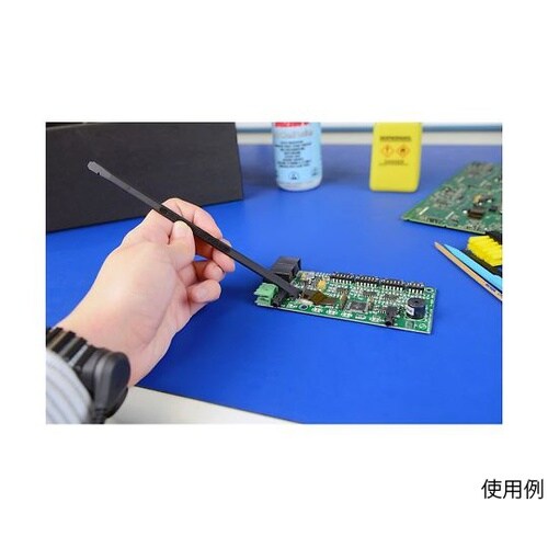 �i�C�����v���[�u