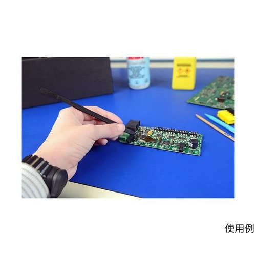 �i�C�����v���[�u