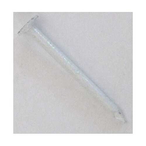 �J�N�e���l�C��