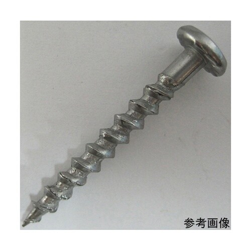 �q�b�g�r�X�@�X�e��