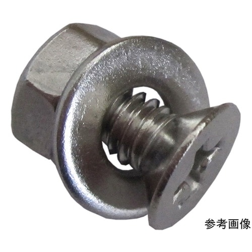 ステンホームネジ