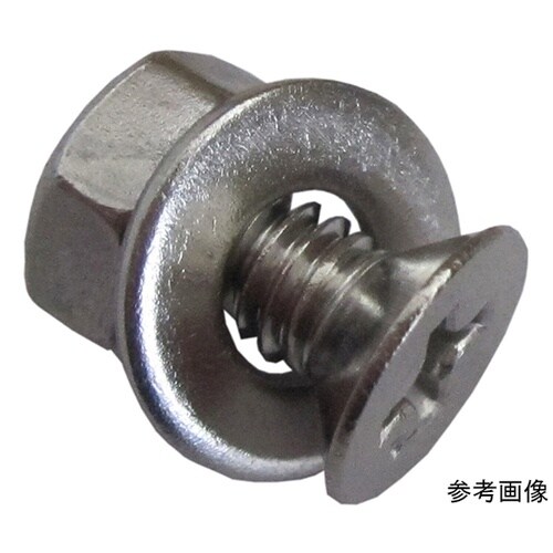 ステンホームネジ