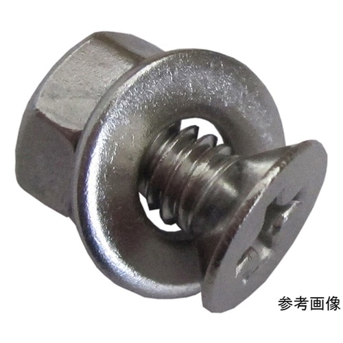 ステンホームネジ