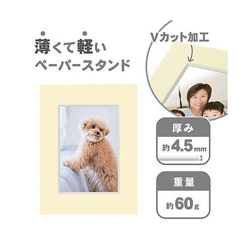 �J���[�y�[�p�[�X�^���h