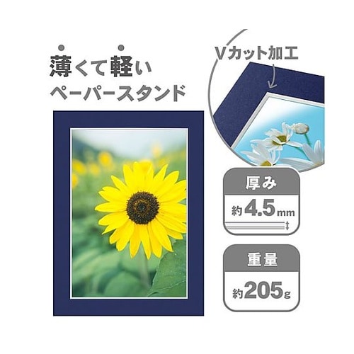 �J���[�y�[�p�[�X�^���h