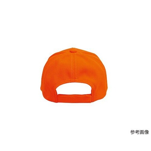 �u���[�Y�L���b�v