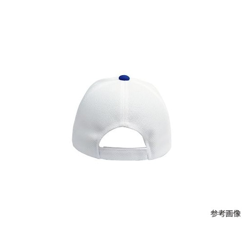 �u���[�Y�L���b�v