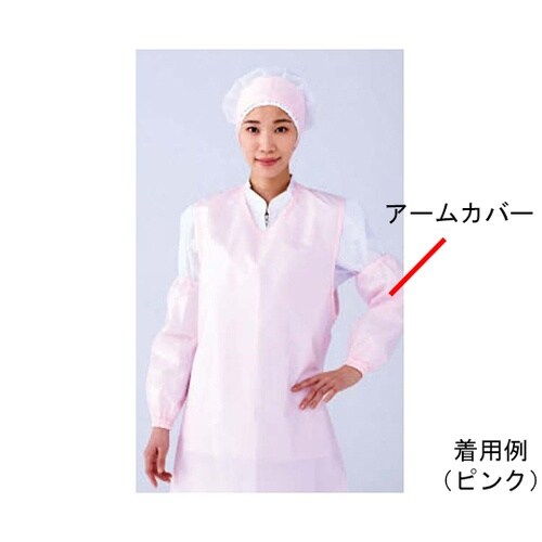 �A�[���J�o�[