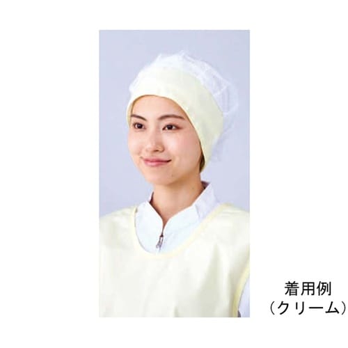 キャップ レギュラー