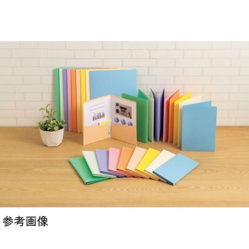 �J���[�o�z���_�[