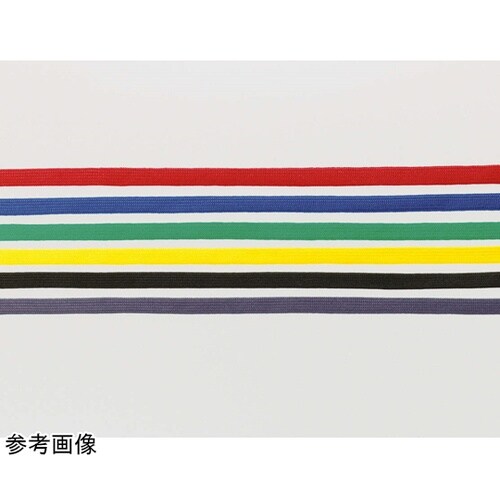 �肳���`���b�N�����D