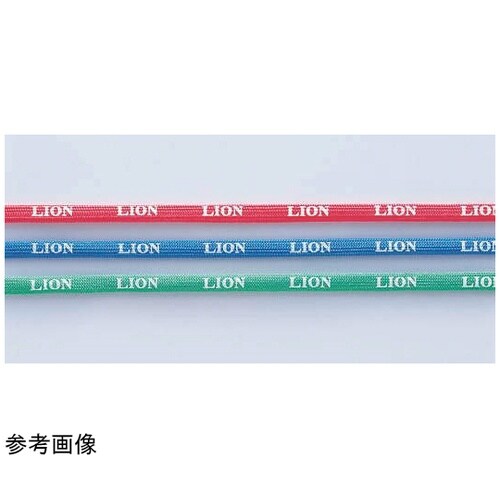 ���D�p�X�g���b�v