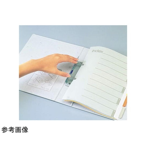 パイプ式F両開き環境