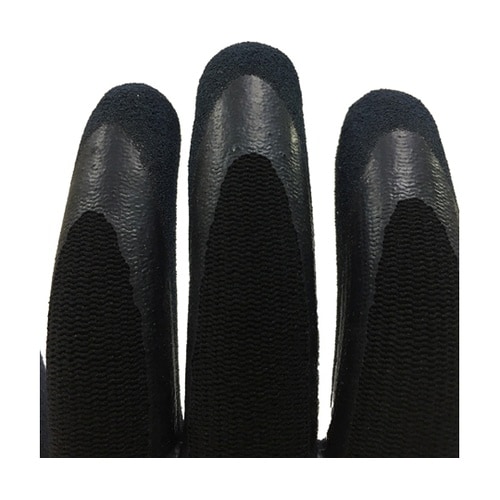 �V�R�S���w�������