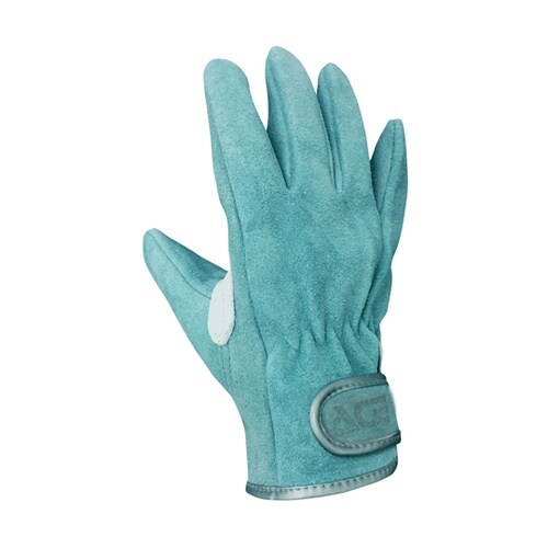 �`�`�`���@�����v���