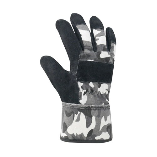 �J���[���z�v���