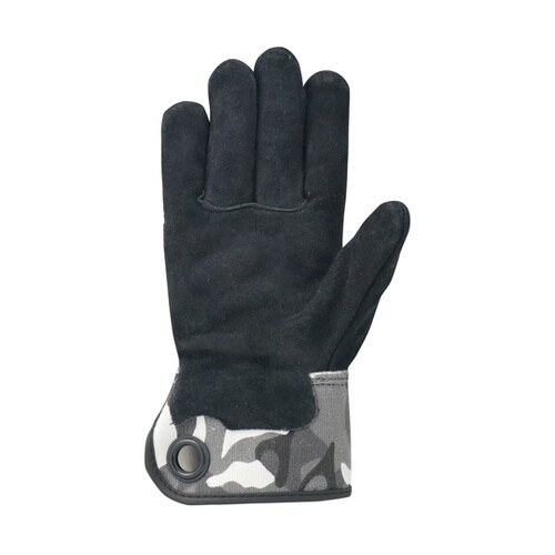 �J���[���z�v���