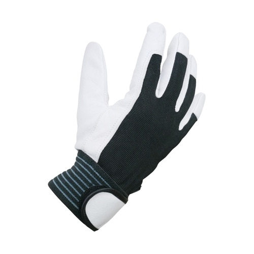 山羊クレスト 甲メリ