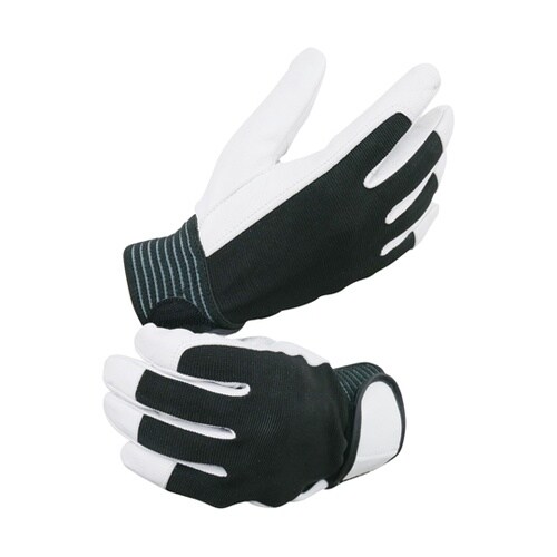 山羊クレスト 甲メリ