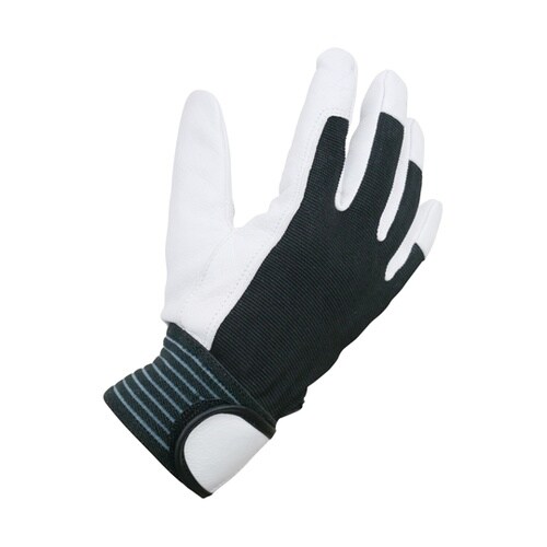 山羊クレスト 甲メリ