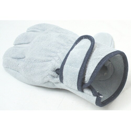 �����v���