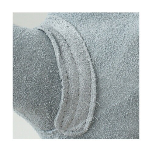 �����v���