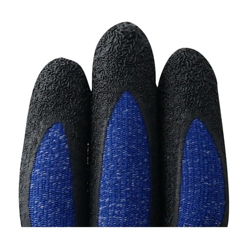 �V�R�S���w�������