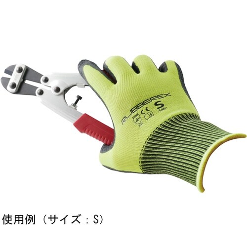 �V�R�S���w�������