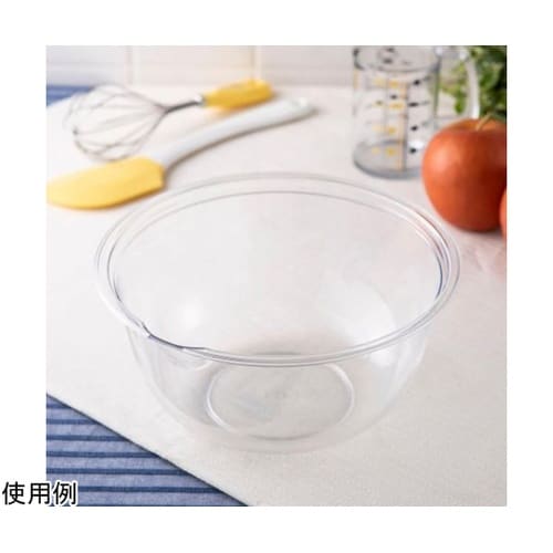 �v���X�`�b�N�{�E��