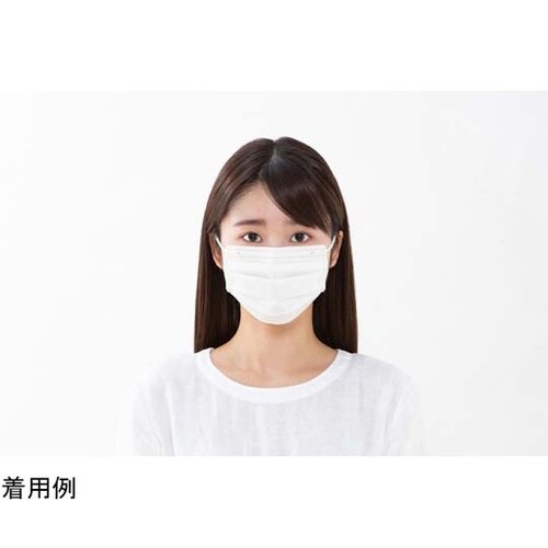 プリーツマスク