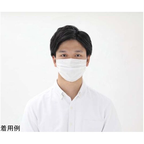 プリーツマスク