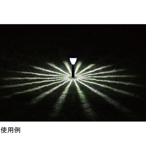 �\�[���[�K�[�f�����C�g