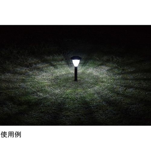 �\�[���[�K�[�f�����C�g