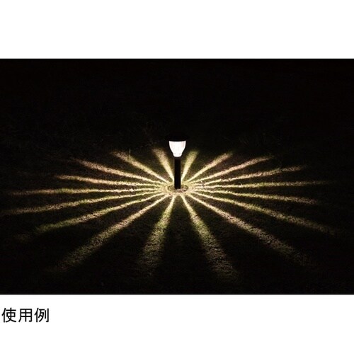 �\�[���[�K�[�f�����C�g