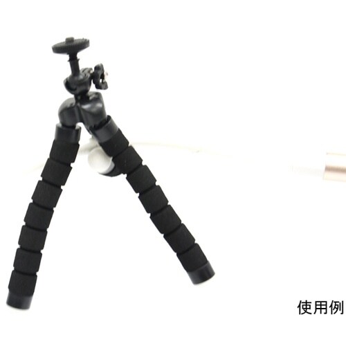 �X�}�z�t���L�V�u���O�r