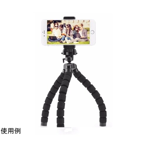 �X�}�z�t���L�V�u���O�r