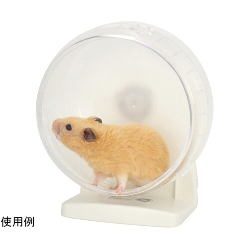 �T�C�����g�z�C�[���@�t���b�g