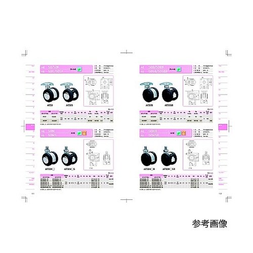 �o�փL���X�^�[�@�ӂT�O�@����