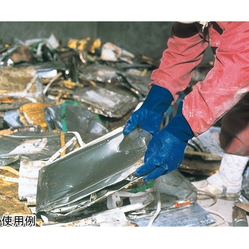 �j�g���[�u