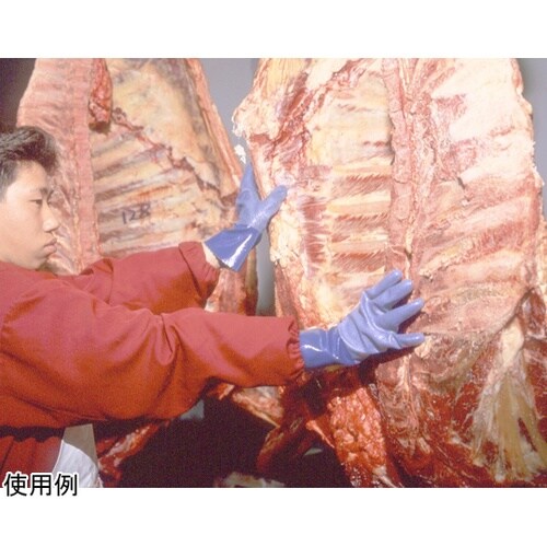 �j�g���[�u