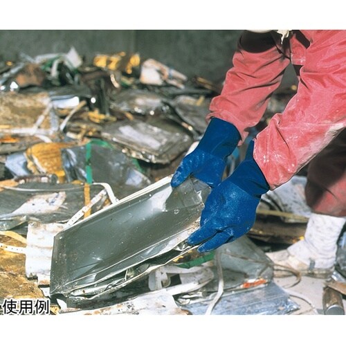 �j�g���[�u