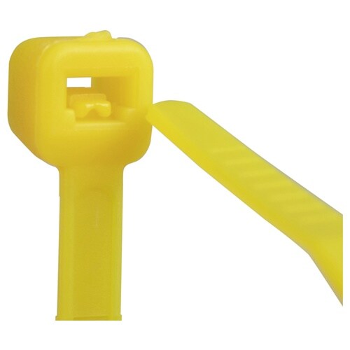 �����o���h