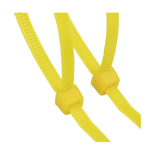 �����o���h