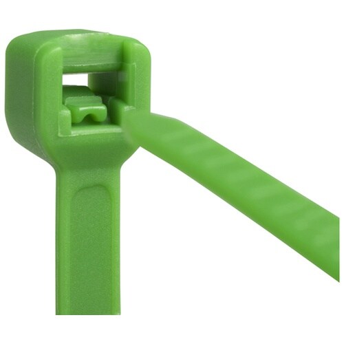 �����o���h