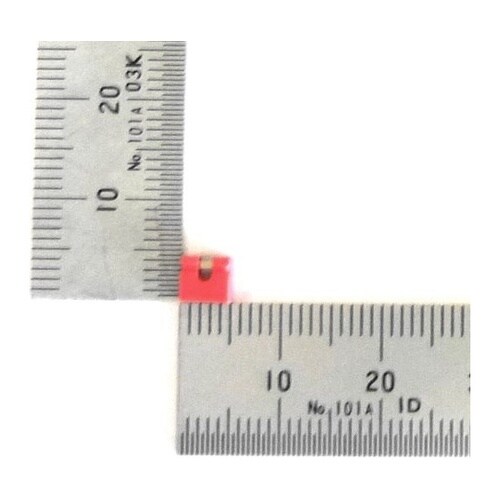 �W�����p�[�s��