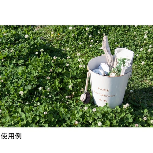 ダストボックス